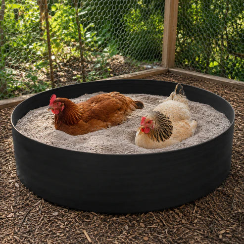 Premium Chicken Dust Bath Tub