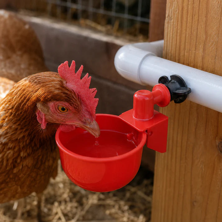 Automatic Chicken Drinkers (10 Pack)