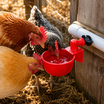 Automatic Chicken Drinkers (10 Pack)